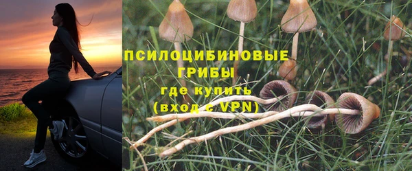 амф Пролетарск