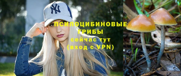 МДМА Протвино